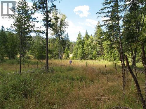 River Stone Road Lot# Lot D, Cherryville, BC 