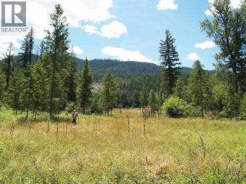 River Stone Road Lot# Lot D, Cherryville, BC 