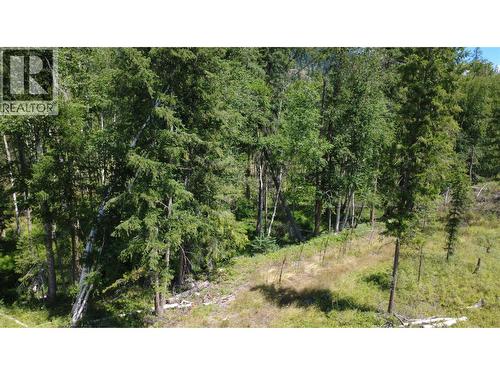 River Stone Road Lot# Lot D, Cherryville, BC 