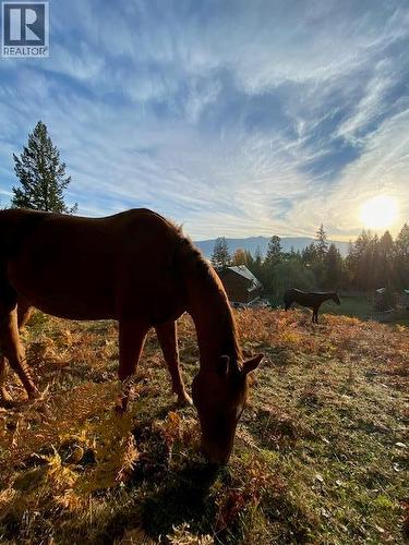 2033 Smith Road, Creston, BC - Outdoor With View
