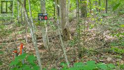 0 ROSSEAU LAKE RD 1 Muskoka Lakes (Watt), ON P0B 1M0