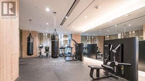 301W - 27 Bathurst Street, Toronto, ON - Indoor Photo Showing Gym Room