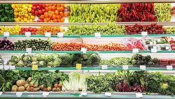 2421 KING GEORGE BOULEVARD  Surrey, BC V4P 1H8