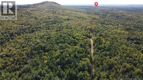 Backland Road, Saint John, NB 
