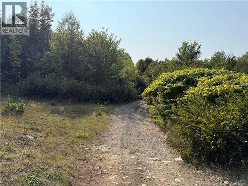 Backland Road, Saint John, NB 