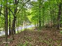 Wooded area - 1770 Mtée Paiement, Val-Des-Monts, QC 