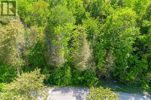 01 Mink Lake Road, North Algona Wilberforce, ON 