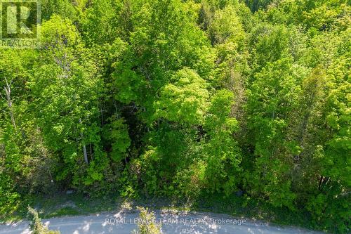 01 Mink Lake Road, North Algona Wilberforce, ON 