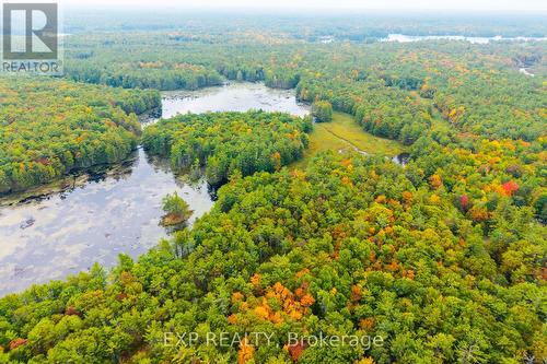 1144 A South Lake Morrison Road, Gravenhurst, ON 