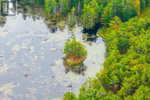 1144 A South Lake Morrison Road, Gravenhurst, ON 