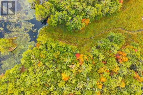 1144 A South Lake Morrison Road, Gravenhurst, ON 