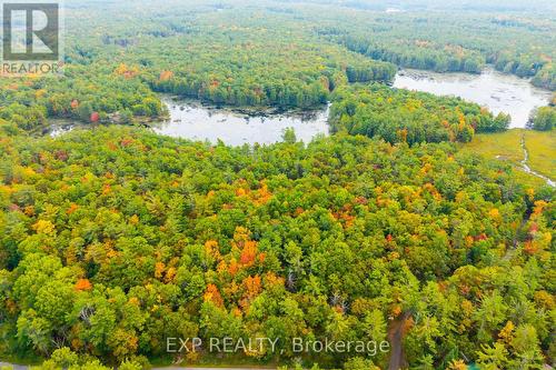 1144 A South Lake Morrison Road, Gravenhurst, ON 