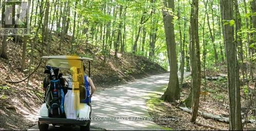 203 - 40 Horseshoe Boulevard, Oro-Medonte, ON - 