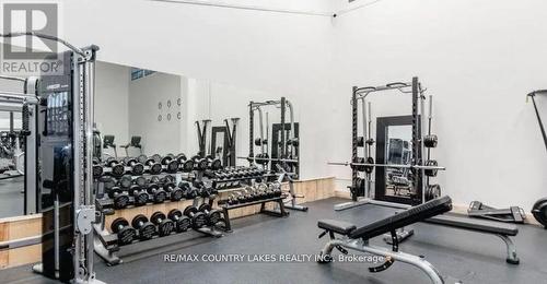 203 - 40 Horseshoe Boulevard, Oro-Medonte, ON - Indoor Photo Showing Gym Room