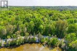 02 MINK LAKE ROAD  North Algona Wilberforce, ON K0J 1T0