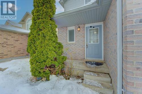 141 Mountain Laurel Crescent, Kitchener, ON - Outdoor