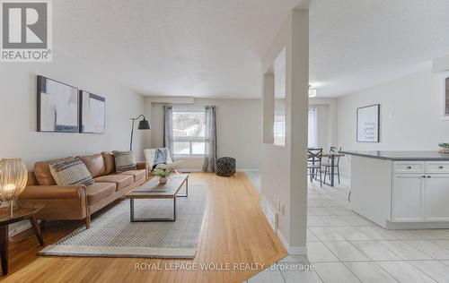 141 Mountain Laurel Crescent, Kitchener, ON - Indoor Photo Showing Living Room