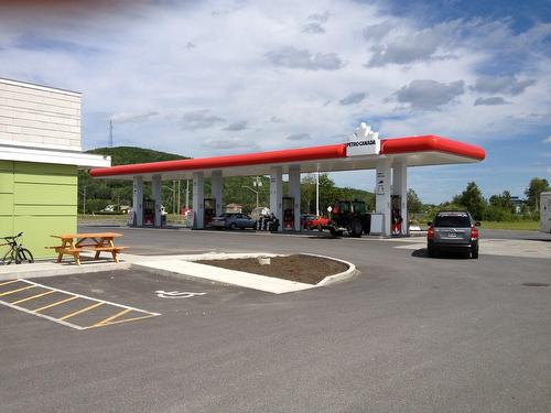 Extérieur - 1175 Av. De L'Accueil, Dégelis, QC - Outdoor