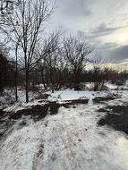 backyard beyond driveway in winter - 