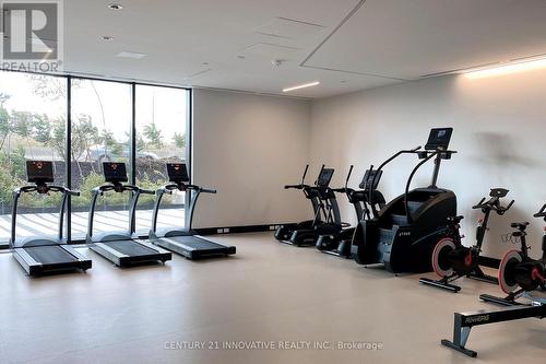 #25 - 30 Tretti Way, Toronto, ON - Indoor Photo Showing Gym Room