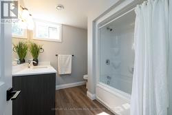 Lower level bathroom - 