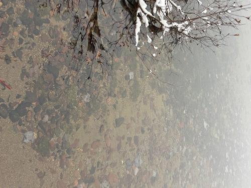 Bord de l'eau - Ch. De La Pointe, Lantier, QC 