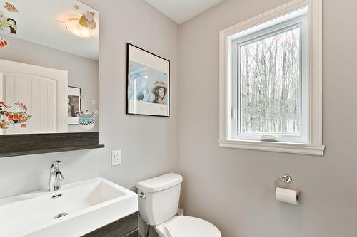 Salle d'eau - 168 Rue Des Érables, Eastman, QC - Indoor Photo Showing Bathroom