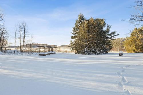 Cour - 511Z Rg St-Louis, Saint-André-Avellin, QC 