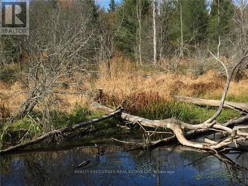 2707 Narrows Lock Road, Tay Valley, ON 