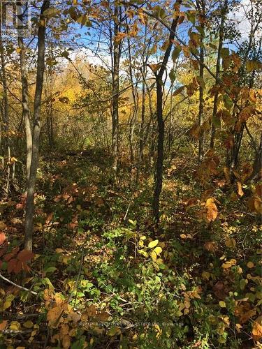 2707 Narrows Lock Road, Tay Valley, ON 