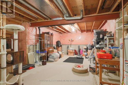 Large Storage area - 51 - 43 Capulet Walk, London North (North M), ON - Indoor Photo Showing Basement