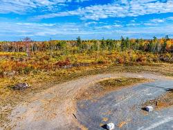 7013 Highway 6  Three Brooks, NS B0K 1H0