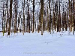 36720 RIVER ROAD  Ashfield-Colborne-Wawanosh (Ashfield), ON N0G 2H0