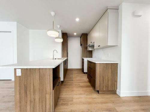 Kitchen - 60 Rue Gélinas, Saint-Boniface, QC - Indoor Photo Showing Kitchen