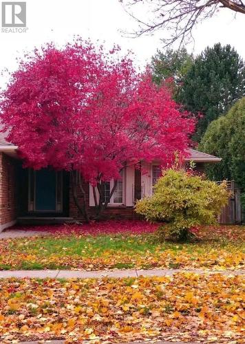 37 Jennifer Road, London North (North B), ON - Outdoor