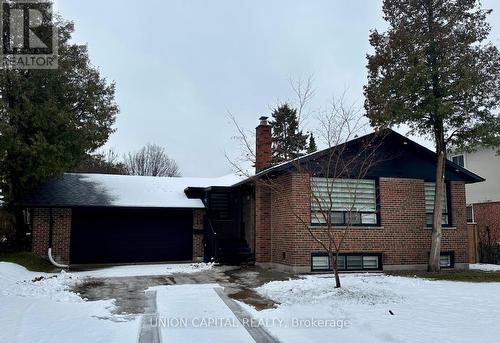 Bsmt - 29 Broadlands Boulevard, Toronto, ON - Outdoor