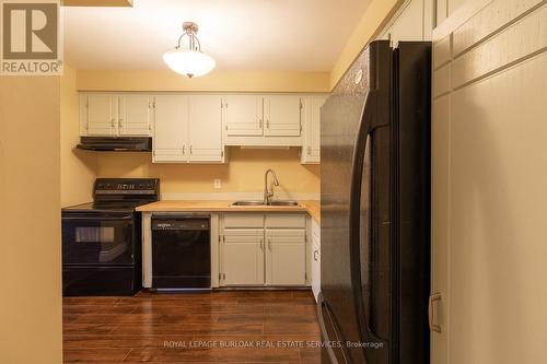 58 Romy Crescent, Thorold, ON - Indoor Photo Showing Kitchen With Double Sink