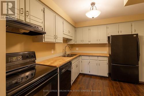 58 Romy Crescent, Thorold, ON - Indoor Photo Showing Kitchen With Double Sink