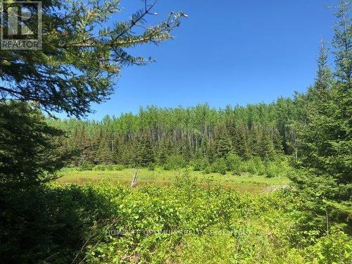 38.24 Acres - Pcl 24640 N/A, Timmins, ON 