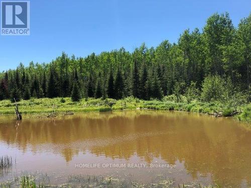 38.24 Acres - Pcl 24640 N/A, Timmins, ON 