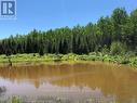 38.24 Acres - Pcl 24640 N/A, Timmins, ON 
