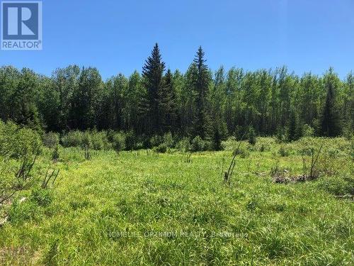 38.24 Acres - Pcl 24640 N/A, Timmins, ON 