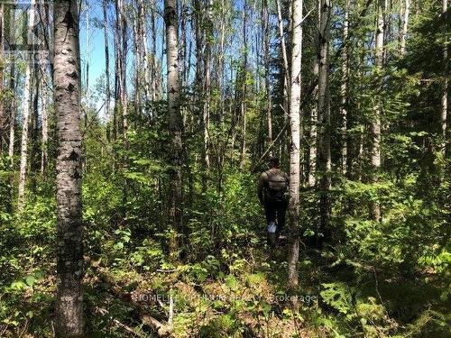 38.24 Acres - Pcl 24640 N/A, Timmins, ON 