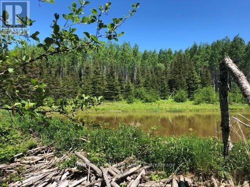 38.24 Acres - Pcl 24640 N/A, Timmins, ON 