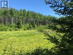 38.24 ACRES IN OGDEN TOWNSHIP - PCL 24640 Timmins, ON P4N 7C2