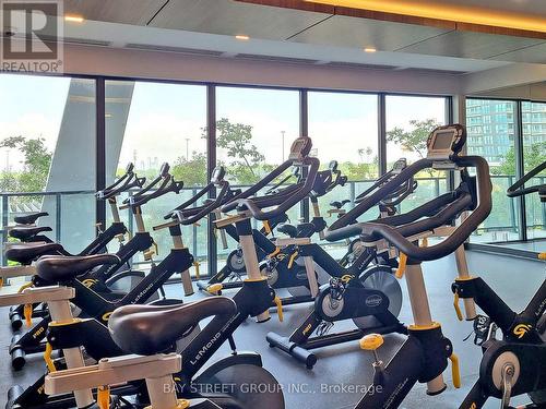 Lph07A - 30 Shore Breeze Drive, Toronto, ON - Indoor Photo Showing Gym Room