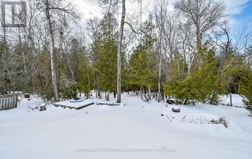 60 Davidge Drive, Scugog, ON - Outdoor