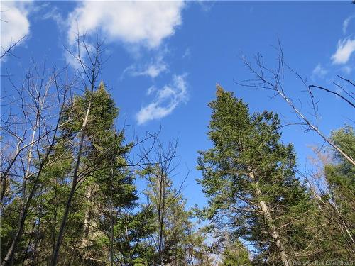 - South Oromocto Lake Rd, South Oromocto Lake, NB 