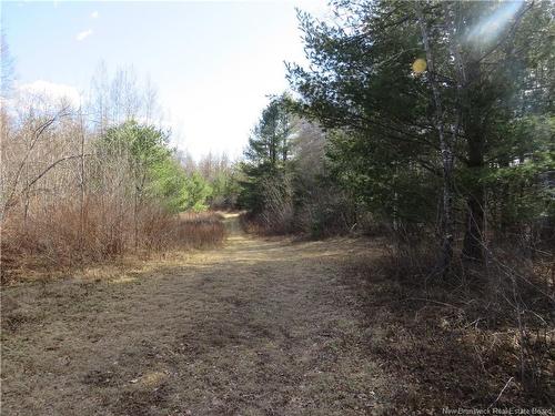 - South Oromocto Lake Rd, South Oromocto Lake, NB 