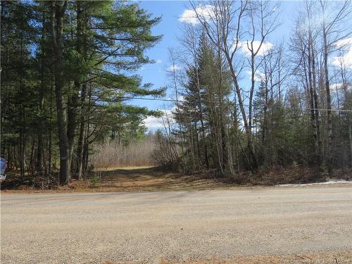 - South Oromocto Lake Rd, South Oromocto Lake, NB 